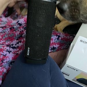 Sony personal Speaker